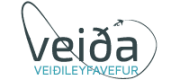 Veida.is